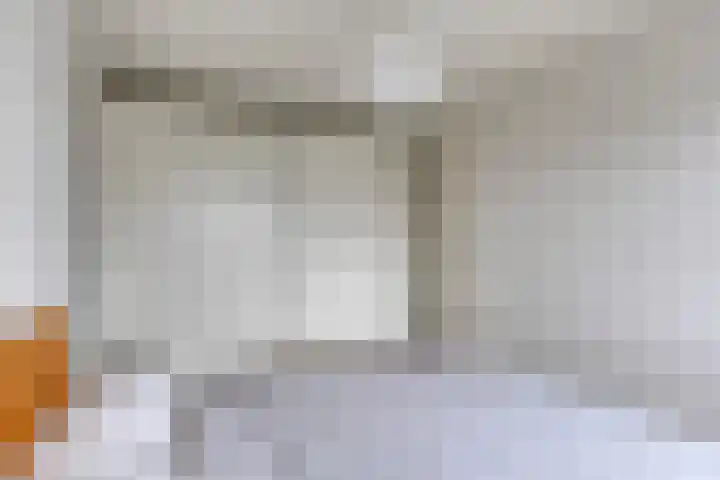Keizersmantelzoom 10 Pijnacker thumbnail 20