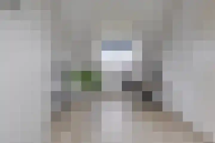 Keizersmantelzoom 10 Pijnacker thumbnail 26
