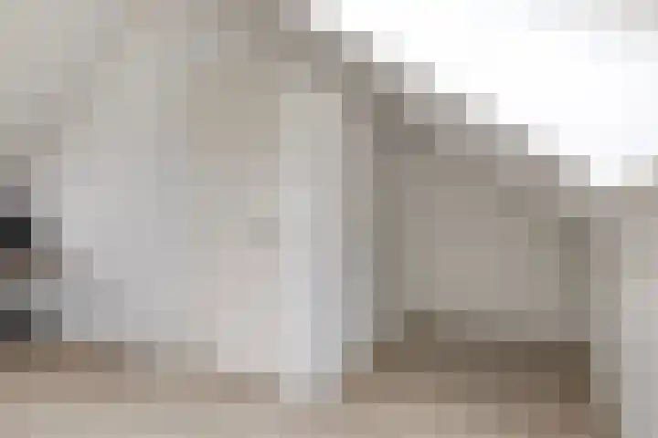 Keizersmantelzoom 10 Pijnacker thumbnail 28