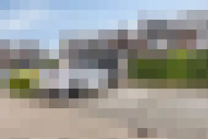 Keizersmantelzoom 10 Pijnacker thumbnail 31