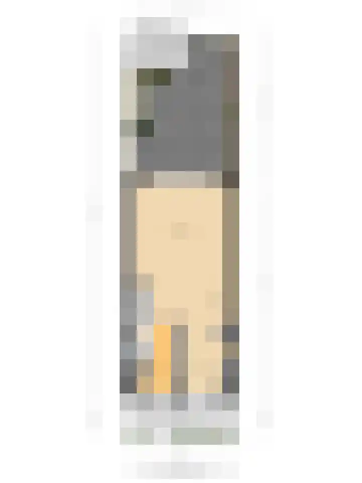Keizersmantelzoom 10 Pijnacker thumbnail 34