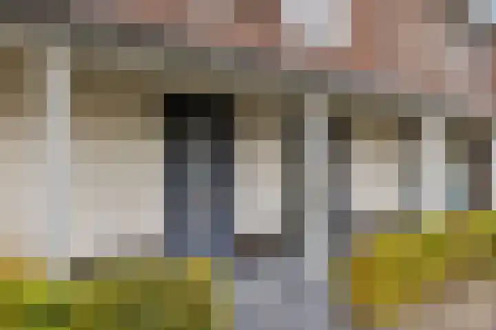 Keizersmantelzoom 10 Pijnacker thumbnail 8