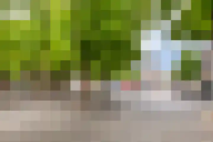 Keizerstraat 1 C Utrecht thumbnail 38
