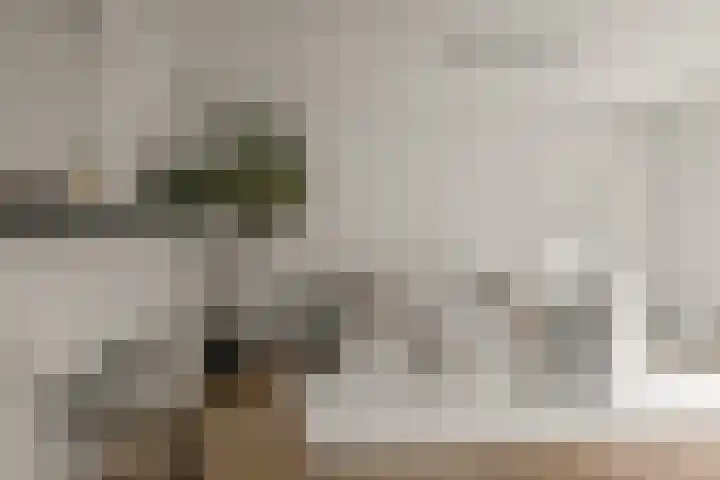Keizerstraat 1 C Utrecht thumbnail 9