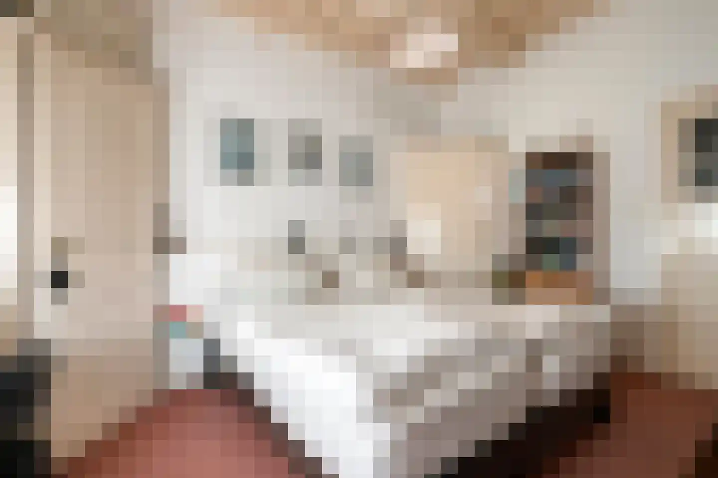 Keizerstraat 1 Goes thumbnail 29