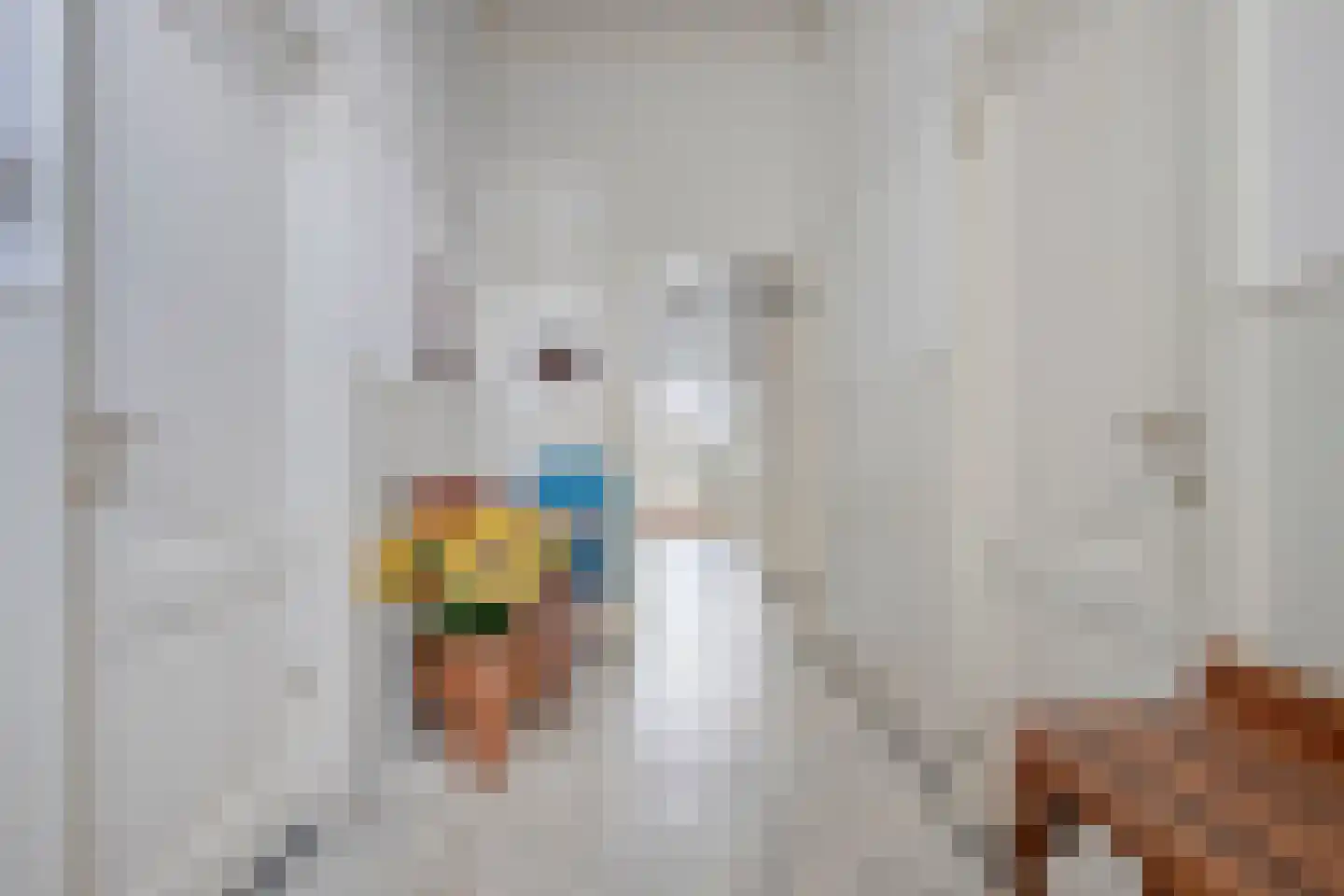 Keizerstraat 1 Goes thumbnail 5