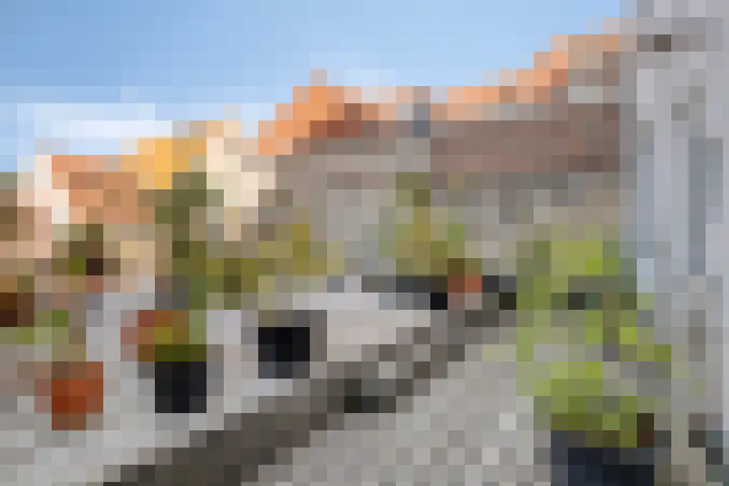Keizerstraat 1 Goes thumbnail 62