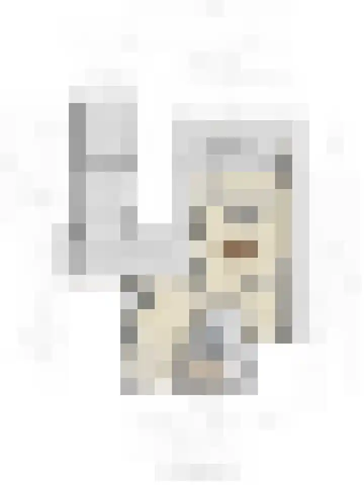 Keizerstraat 10 Someren thumbnail 49