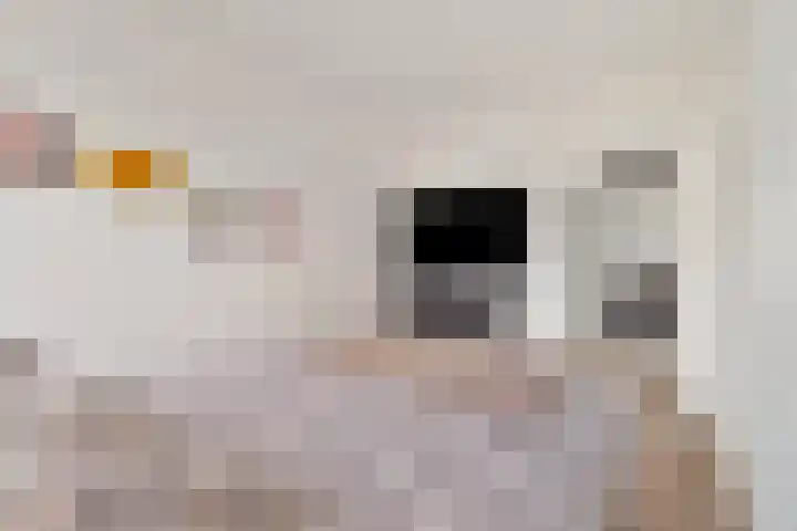 Keizerstraat 18 Heerlen thumbnail 15