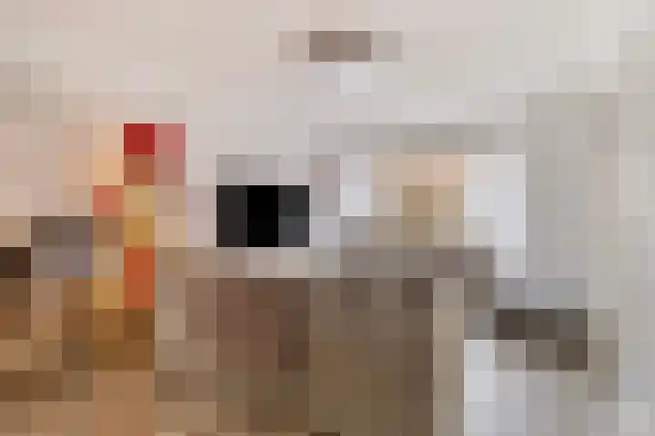 Keizerstraat 18 Heerlen thumbnail 5