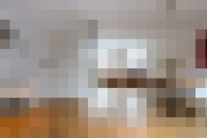 Keizerstraat 51 Putte thumbnail 11