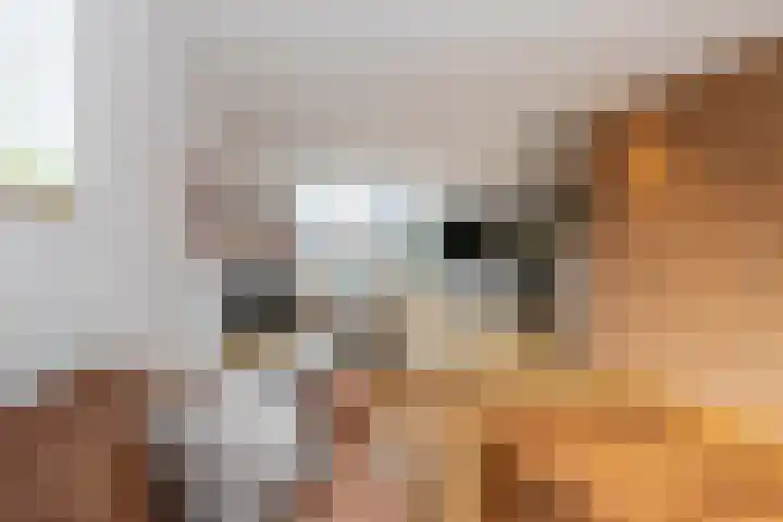 Keizerstraat 51 Putte thumbnail 13