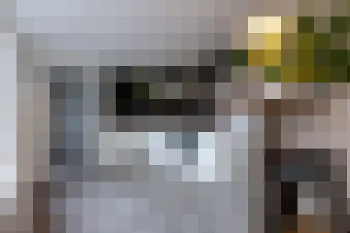 Keizerstraat 51 Putte thumbnail 15