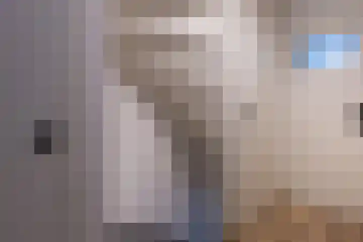 Keizerstraat 51 Putte thumbnail 19