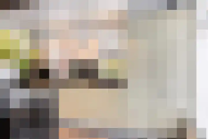 Keizerstraat 51 Putte thumbnail 20