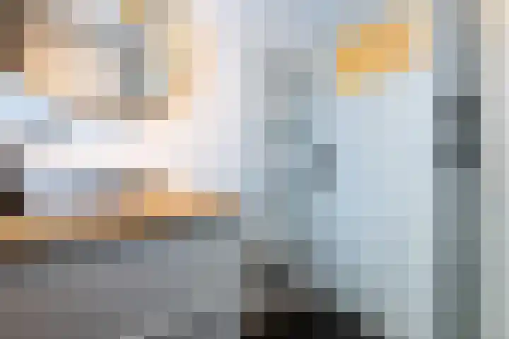 Keizerstraat 51 Putte thumbnail 24