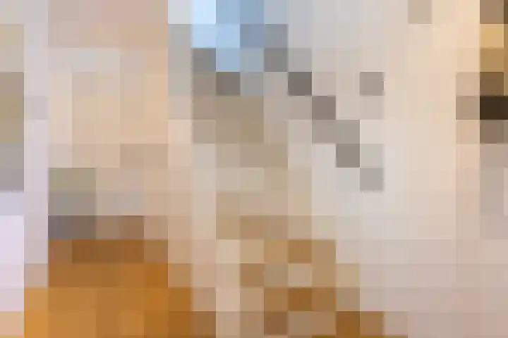 Keizerstraat 51 Putte foto 3