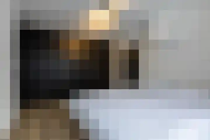 Keizerstraat 51 Putte thumbnail 30