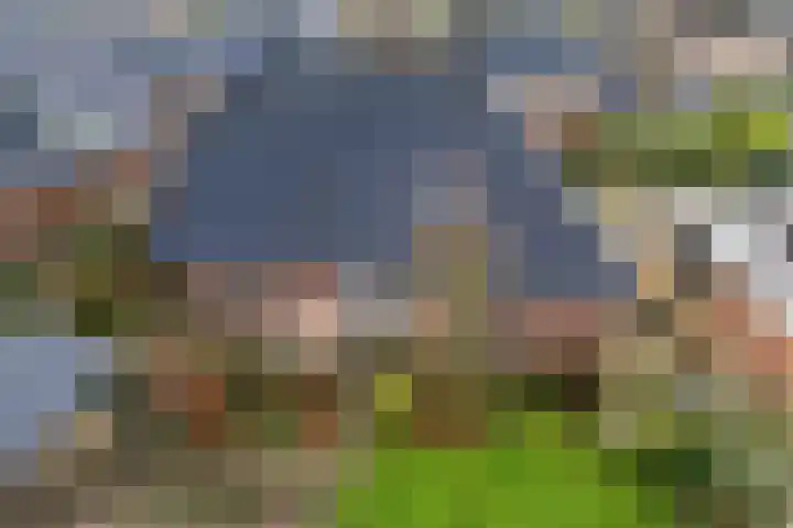 Keizerstraat 51 Putte thumbnail 33