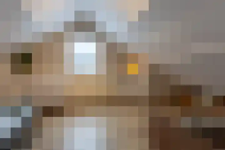 Keizerstraat 51 Putte thumbnail 33