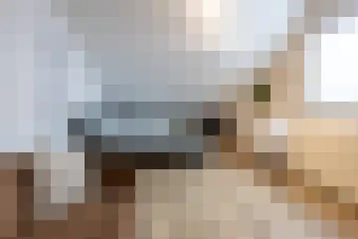 Keizerstraat 51 Putte thumbnail 34