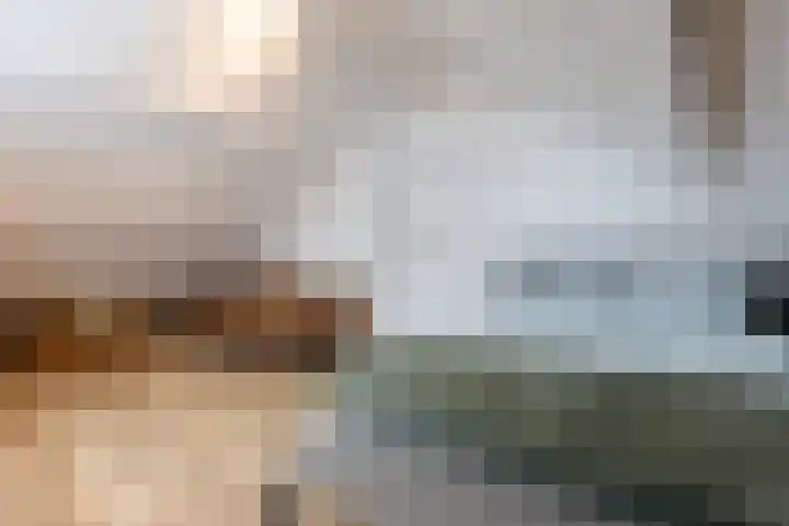 Keizerstraat 51 Putte thumbnail 35