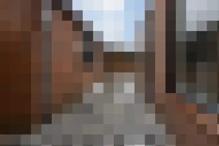 Keizerstraat 51 Putte thumbnail 37