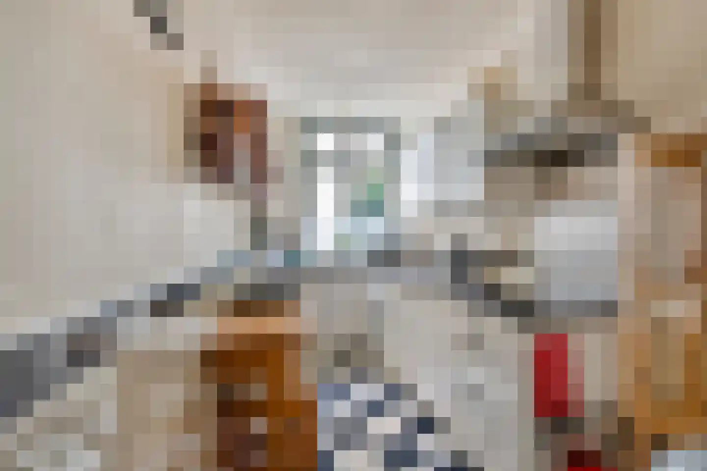 Keizerstraat 51 Putte thumbnail 39