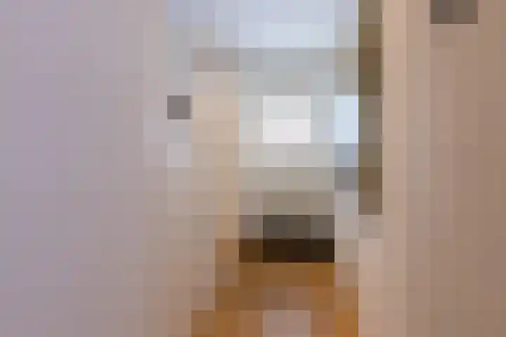 Keizerstraat 51 Putte thumbnail 4