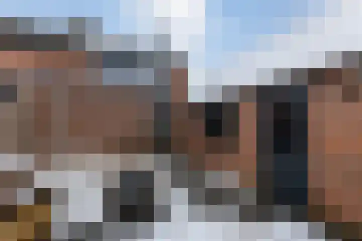 Keizerstraat 51 Putte thumbnail 40
