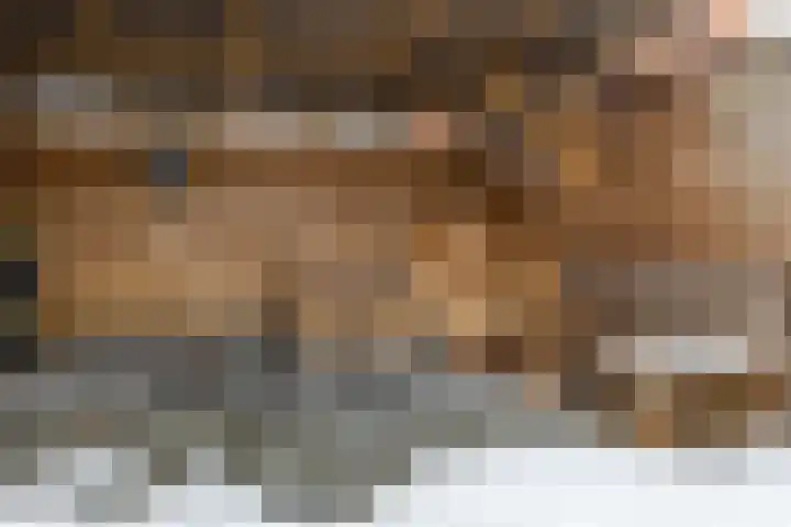 Keizerstraat 51 Putte thumbnail 43