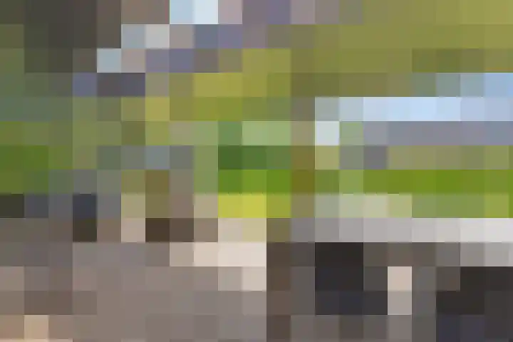 Keizerstraat 51 Putte thumbnail 50