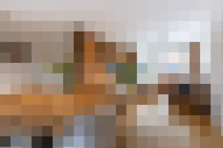 Keizerstraat 51 Putte thumbnail 6