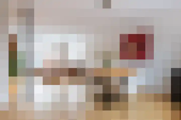 Keizerstraat 51 Putte thumbnail 7