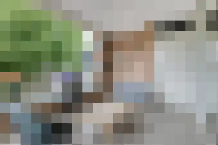 Keizerstraat 8 Rosmalen thumbnail 28