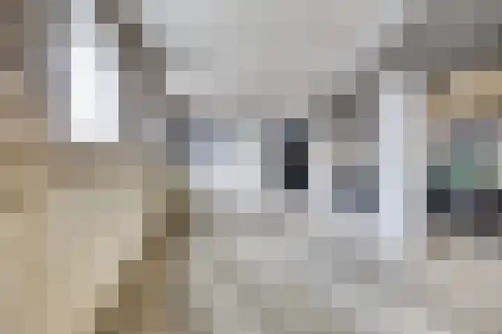 Keizerstraat 8 Rosmalen thumbnail 36