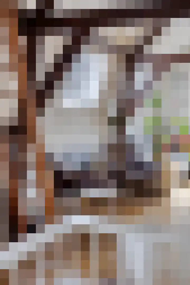 Keizerstraat 9 Utrecht thumbnail 14
