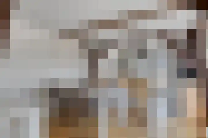 Keizerstraat 9 Utrecht thumbnail 4