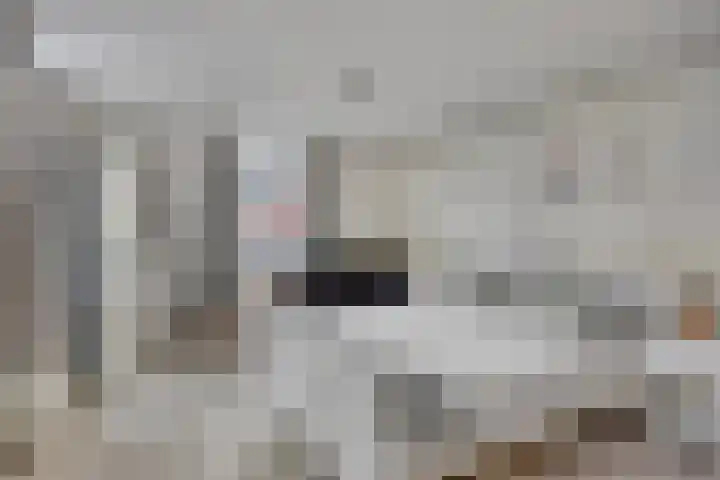 Keizerstraat 9 Utrecht thumbnail 5