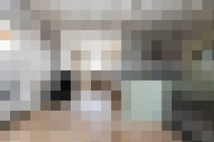 Keizersweg 18 Wezep foto 3
