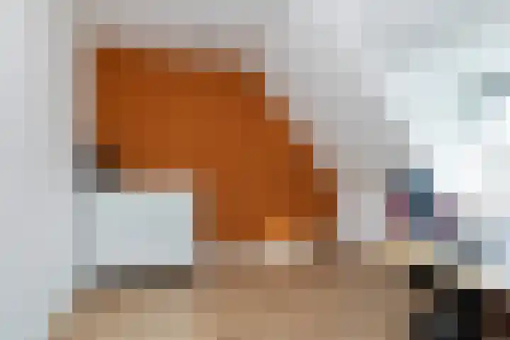 Keizersweg 18 Wezep thumbnail 32