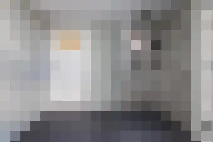 Keizersweg 18 Wezep thumbnail 35