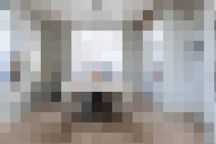 Keizersweg 18 Wezep thumbnail 9