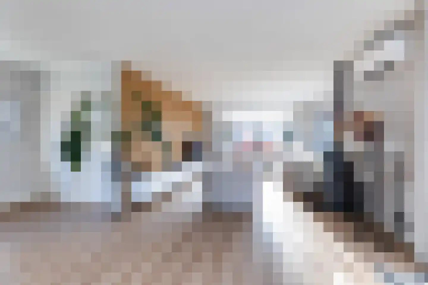Keizersweg 24 Wezep thumbnail 10