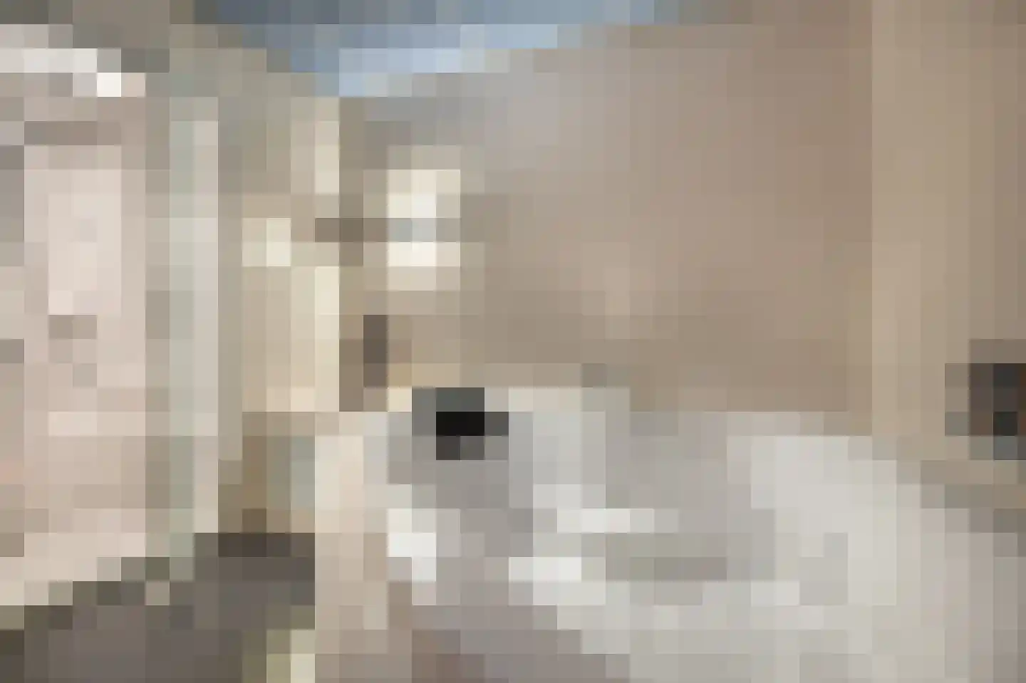 Keizersweg 7 Enter thumbnail 35
