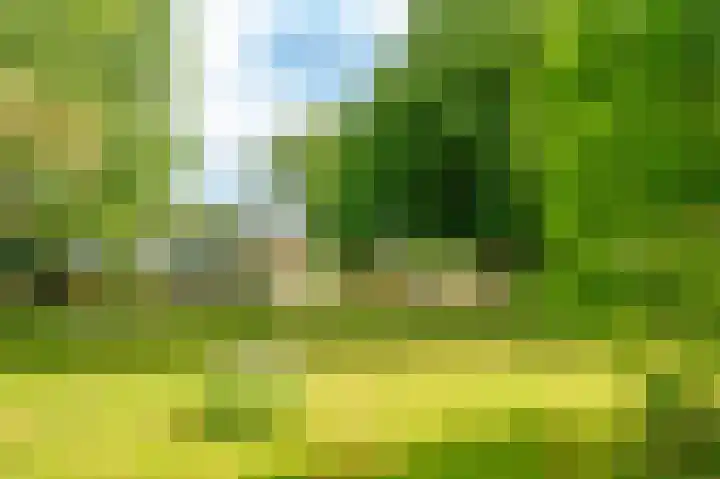 Kelbergen 284 Amsterdam thumbnail 51