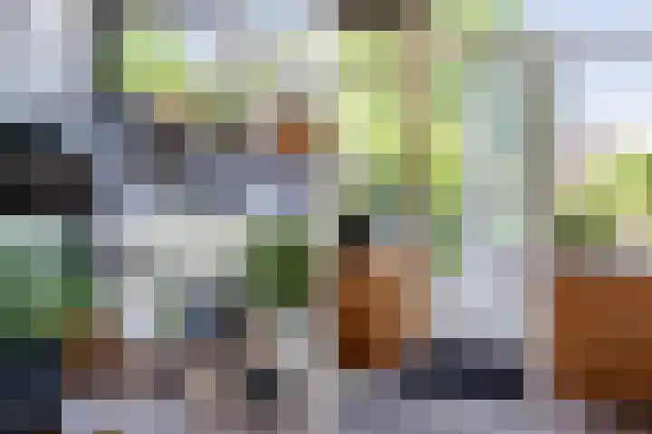Kelbergen 284 Amsterdam thumbnail 8