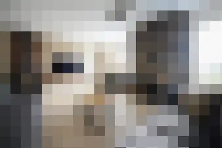 Kelderskamp 36 Putten thumbnail 17