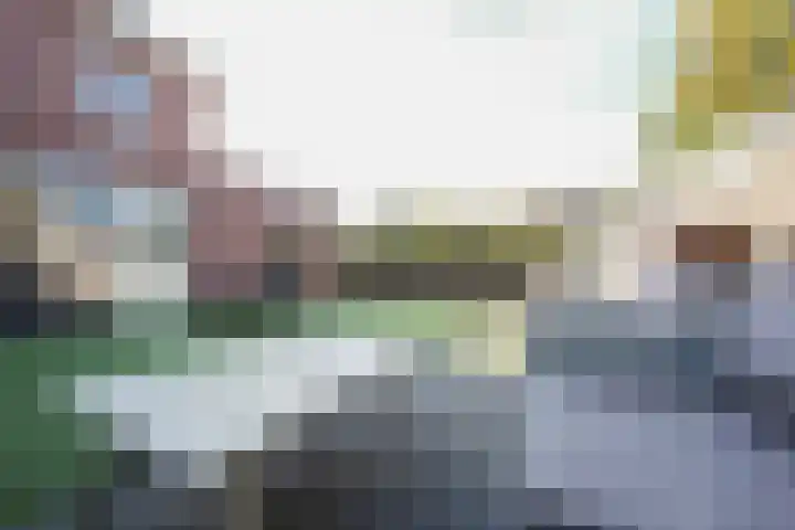 Kelderskamp 36 Putten thumbnail 28