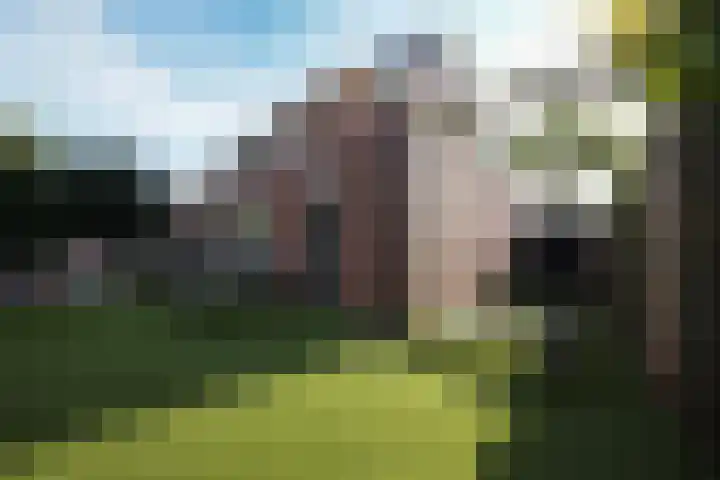 Kelderskamp 36 Putten thumbnail 30
